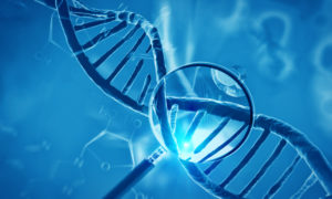 Ewing’s Sarcoma Ewing Sarcoma metastasis target mechanism Oncotarget Impact Journals