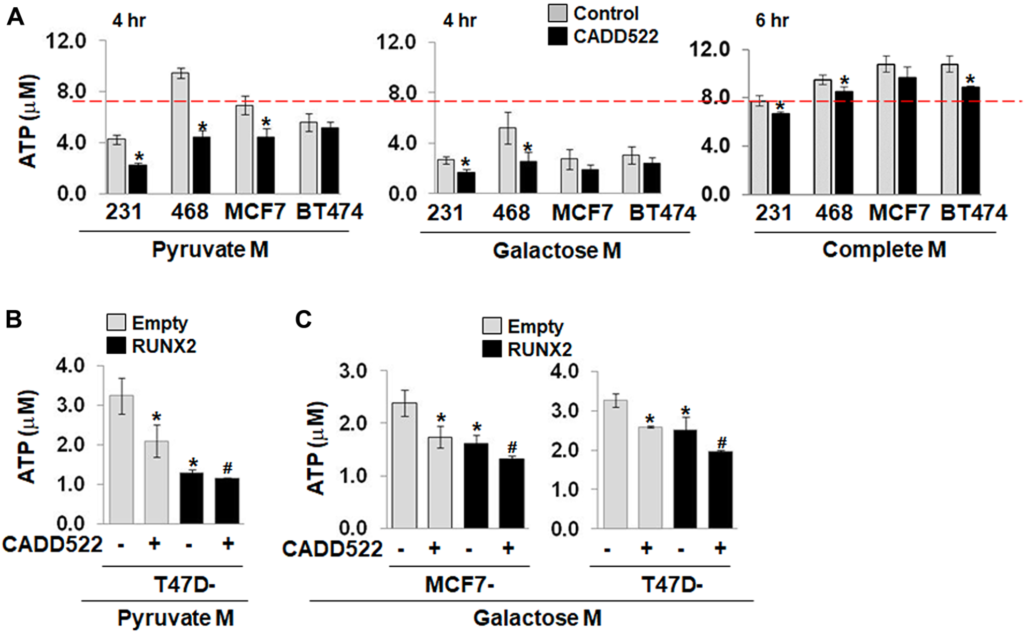 Figure 3: CADD522 treatment suppresses the levels of ATP