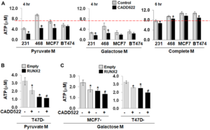 CADD522 treatment suppresses the levels of ATP