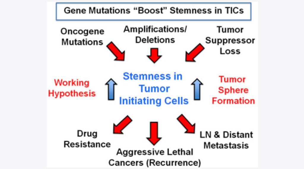Figure 16: A mutation-independent approach to cancer therapy.
