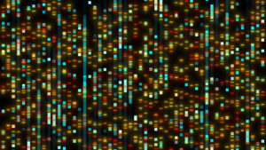 Genetic DNA sequencing genealogy analysis visualization