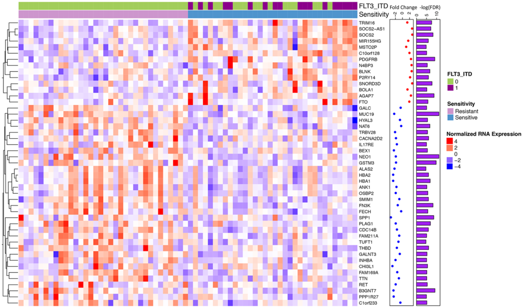 Figure 2: Differential gene expression for midostaurin sensitive vs. resistant samples identifies a unique signature.