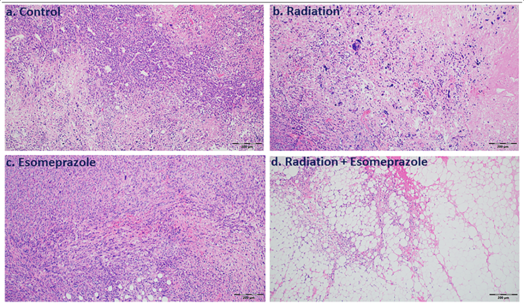 Figure 4 (partial): Combination of esomeprazole and radiation reduces cancer cell growth and proliferation.