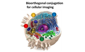 A New Method of Targeting Exosomes in Precision Medicine