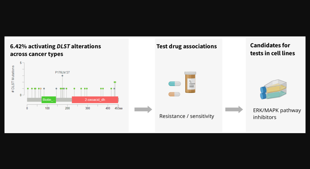 Figure 3: Analysis of DLST-activated cell lines revealed sensitivity to protein kinase inhibiting the ERK/MAPK pathway.