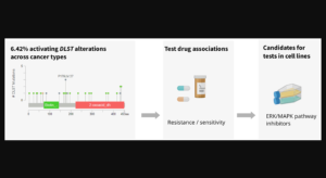 Figure 3: Analysis of DLST-activated cell lines revealed sensitivity to protein kinase inhibiting the ERK/MAPK pathway.