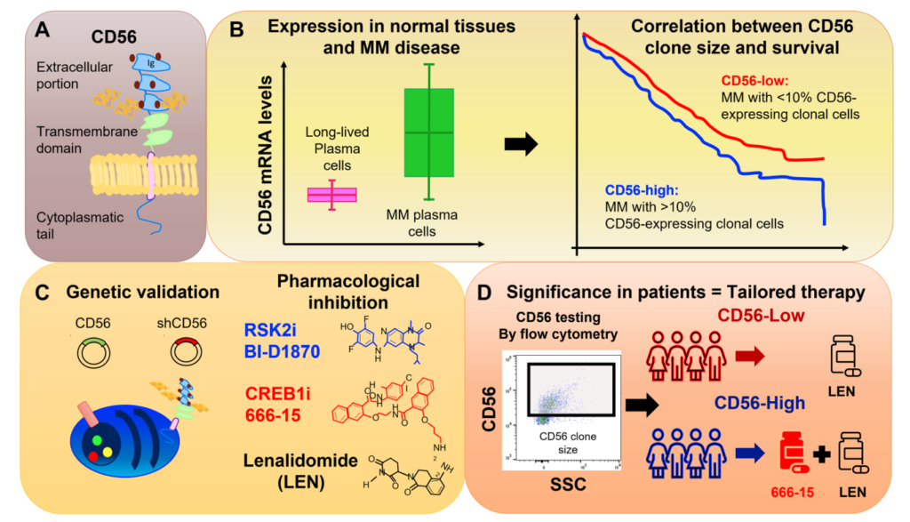 Figure 1: Graphical representation of the main findings of the summarized paper. 