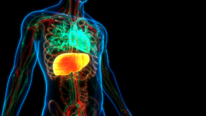 How a Metabolic Enzyme Can Trigger Cell Death in Liver Cancer Cells